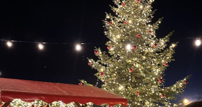 Bildschirmfoto 2023-11-27 um 10.31.15