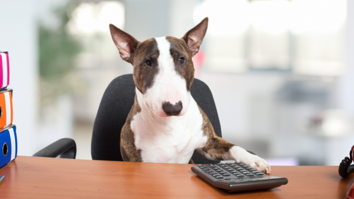 Wir erreichen a l l e Zielgruppen!-7