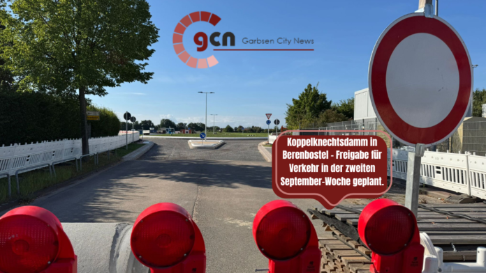 Luftbild Google earth-5