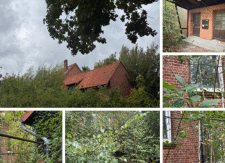 Seit Jahren leer – Verwahrlostes Haus in Altgarbsen beschäftigt Nachbarschaft und Stadt