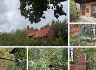 Geisterhaus in Altgarbsen – Stadt fordert Eigentümer zum Handeln auf