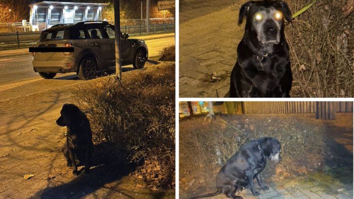 Luftbild Google earth-38