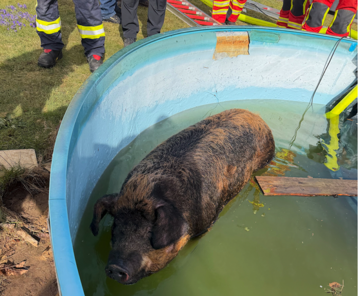 Bildschirmfoto 2026-04-13 um 08.32.14