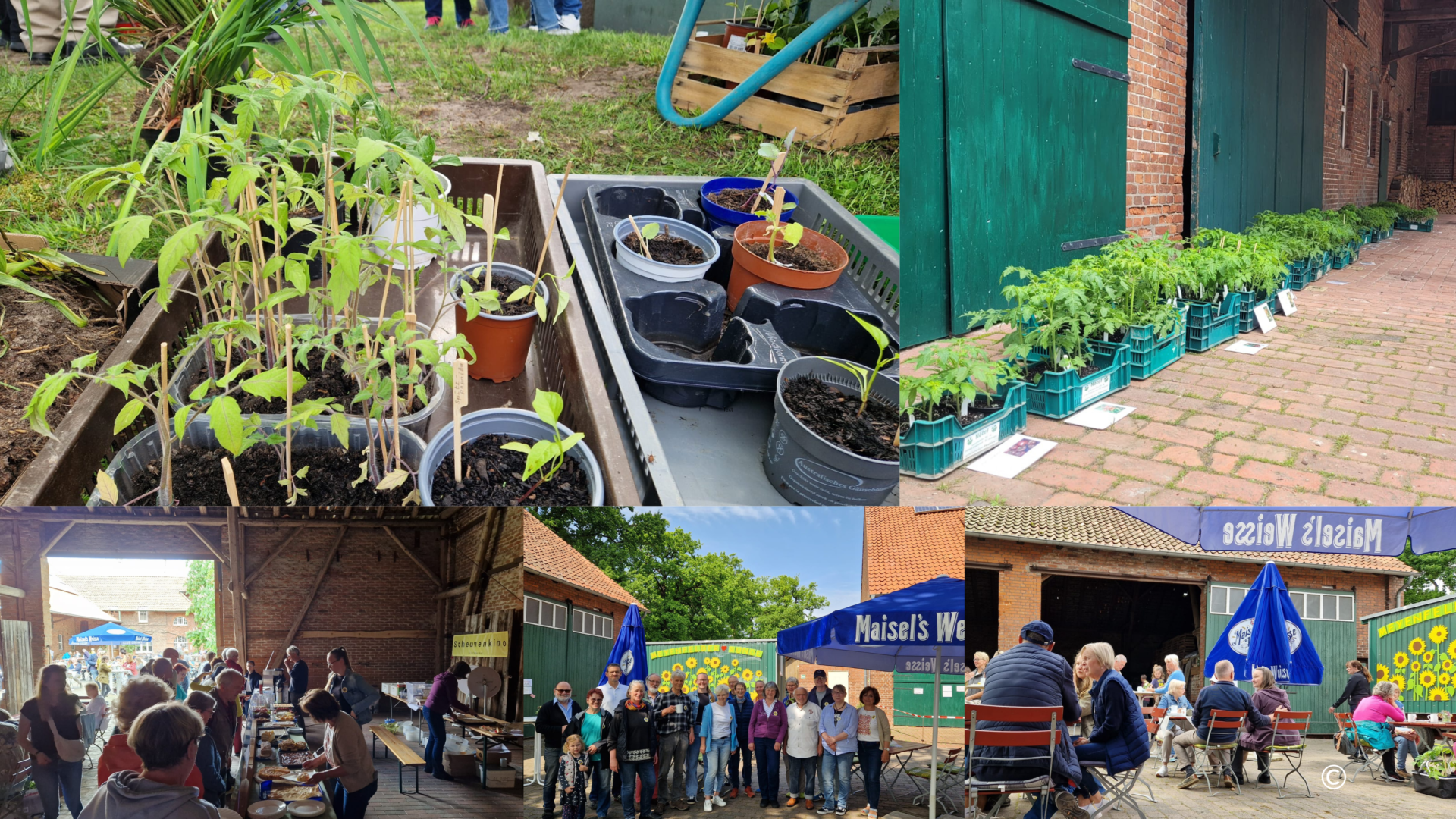 Hier wird Pflanzenglück getauscht: Bei der 23. Pflanzentauschbörse gibt es Tauschpflanzen, Tomaten und Kaffee mit Kuchen