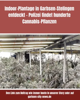 Ein ungewöhnlich hoher Stromverbrauch hat die Polizei auf die Spur einer größeren Cannabis-Plantage in Garbsen geführt. Bei einer Durchsuchung am Donnerstag, 23. April 2026, entdeckten Einsatzkräfte in einer Lagerhalle im Ortsteil Stelingen mehrere hundert Pflanzen. #polizeihannover #garbsen #garbsencitynews